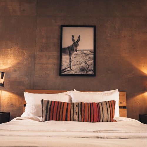 Brutalist Home in East Cape