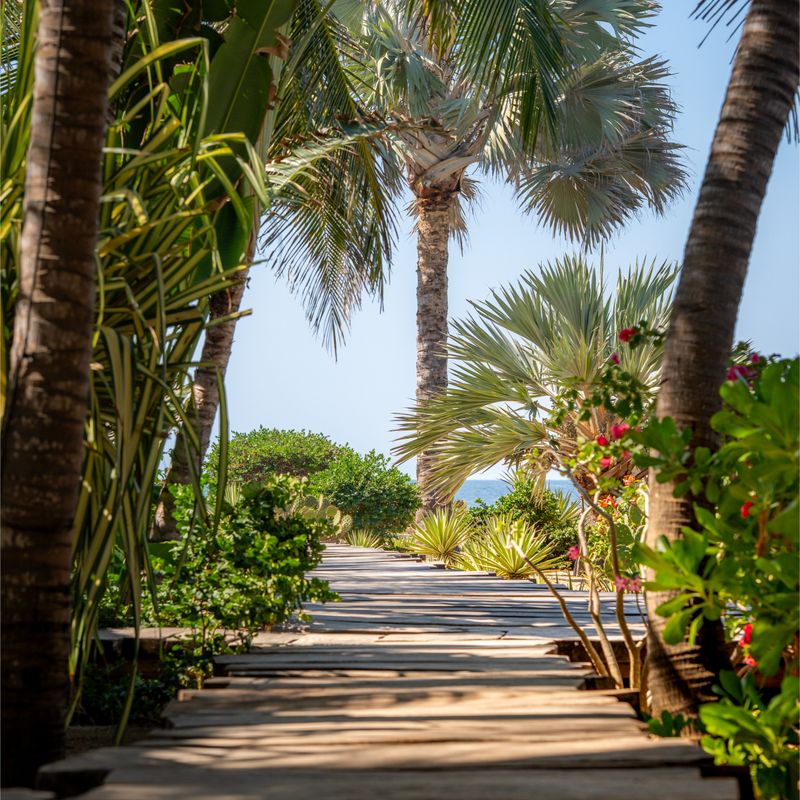 Beachfront Home in Puerto Escondido