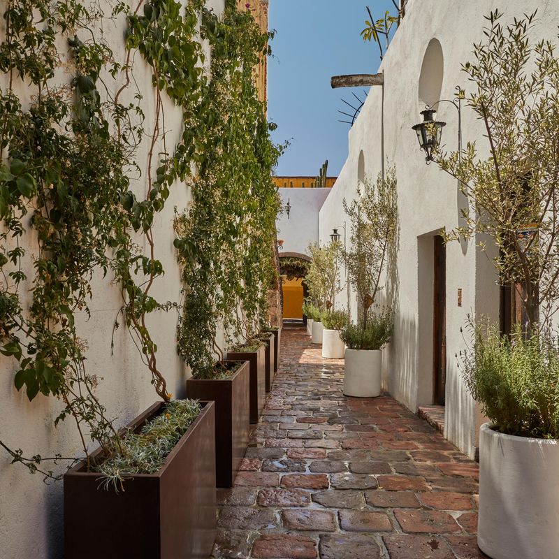 17th Century Home in San Miguel de Allende