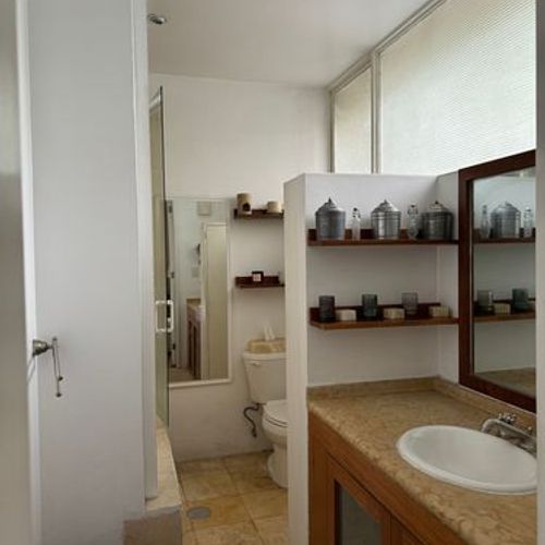 Two Homes in Condesa