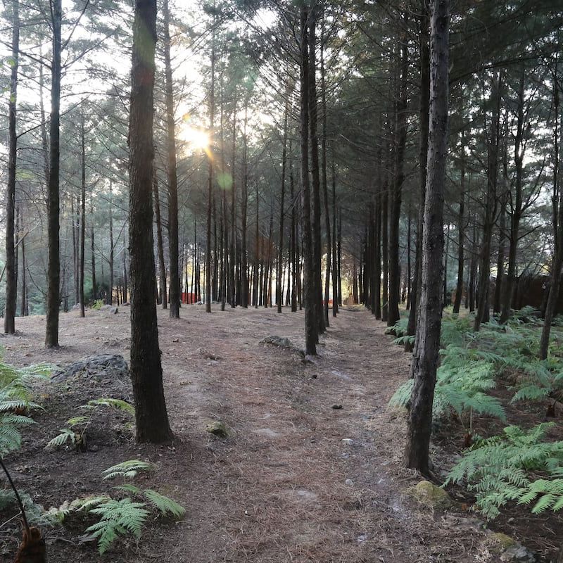 Countryside Home in Malinalco
