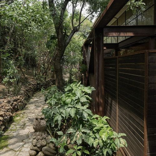 Home in Amatlan