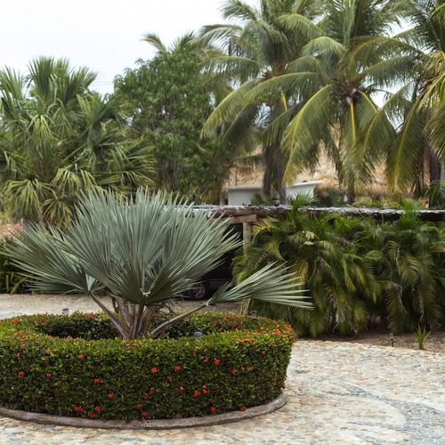 Villa in Los Naranjos