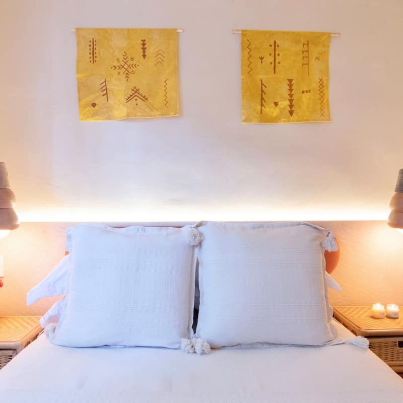 Two Homes in Polanco