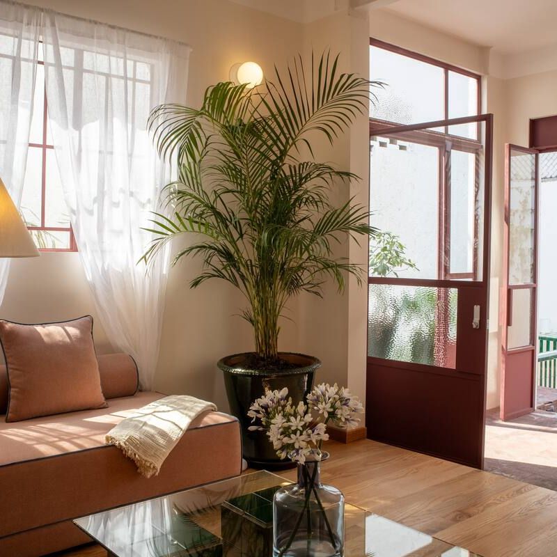 Designer Home in Condesa