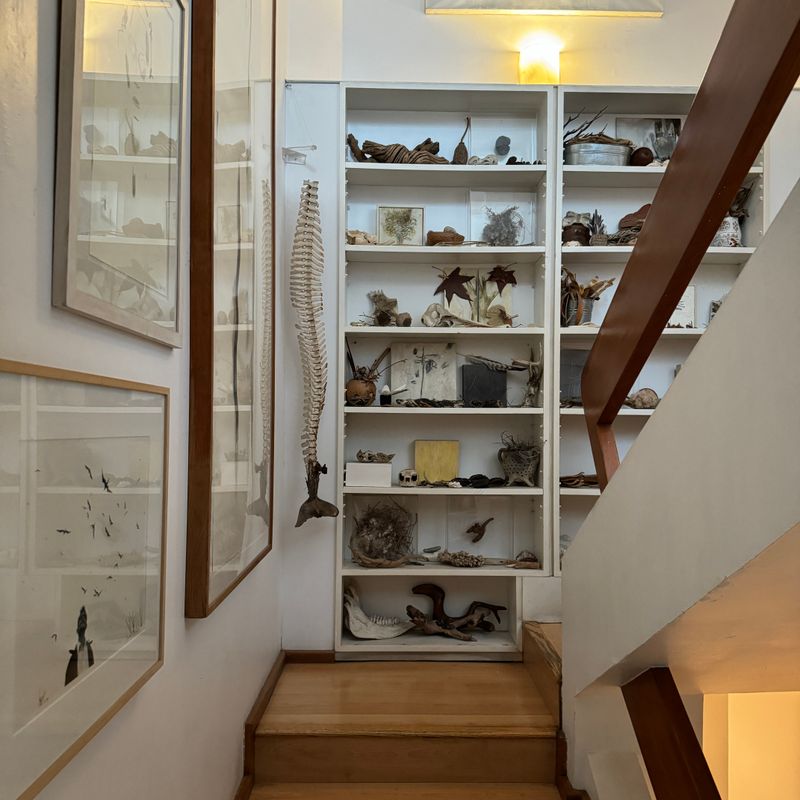 Artist's Home in Condesa