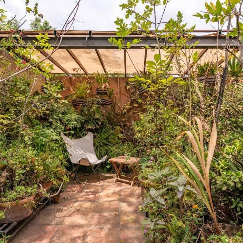 Artist's Home in Condesa