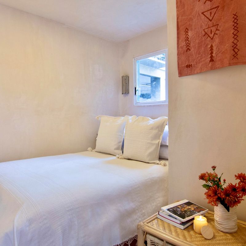 Two Homes in Polanco