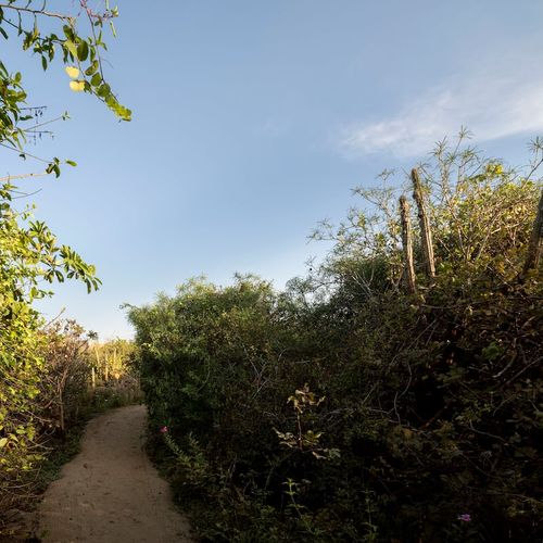 Beach Shack in Casa Wabi Area