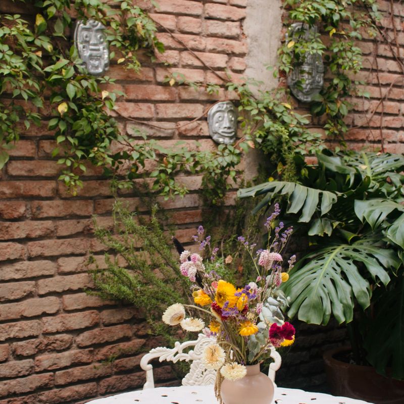 Large Home in Roma Sur