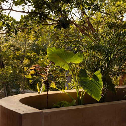 Home in Tulum