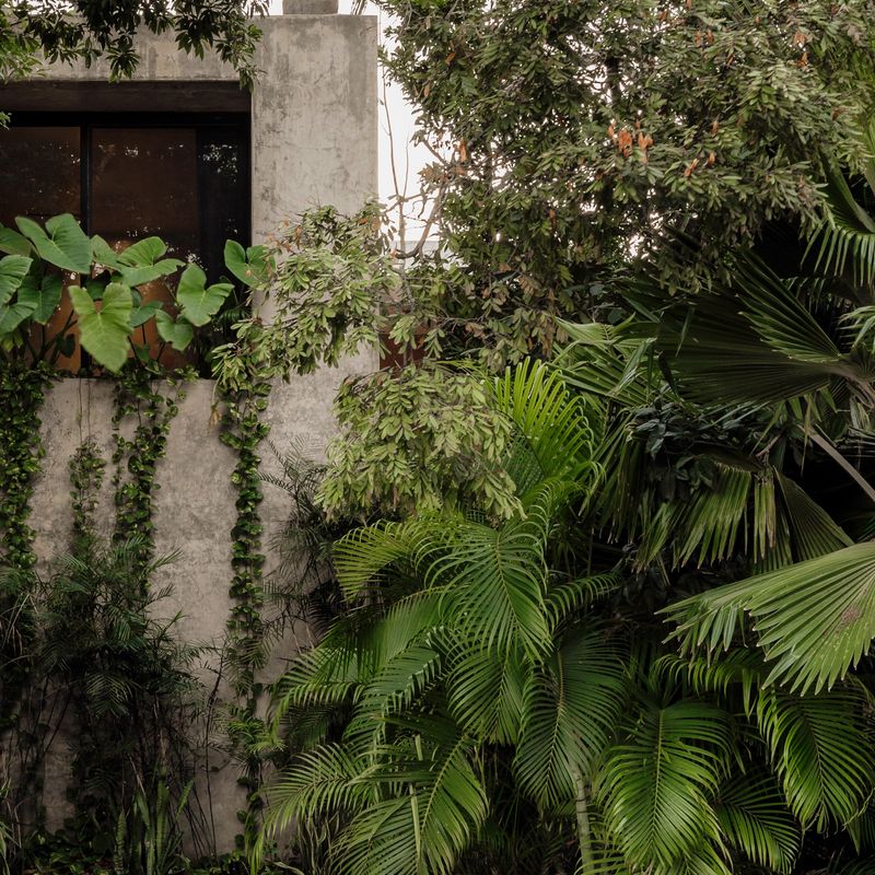 Designer Home in Tulum