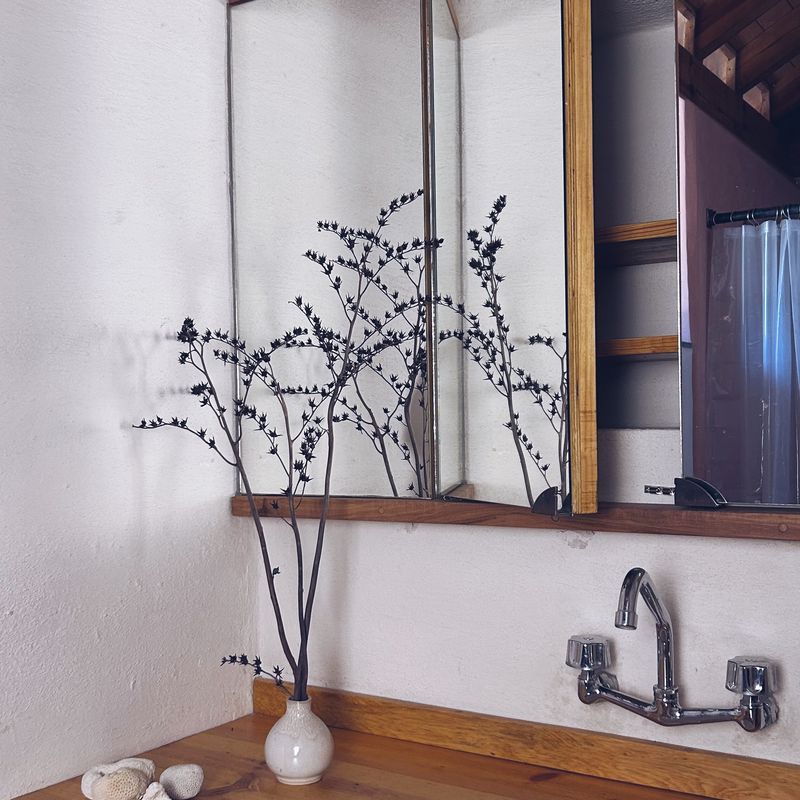 Mountain Cabin in Tepoztlan