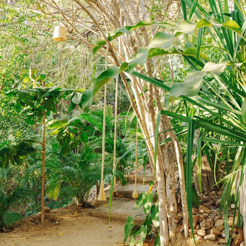 Estate in San Agustinillo