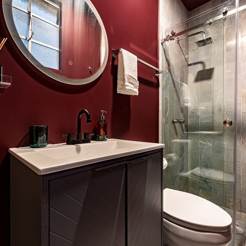 Spacious Apartment in Polanco