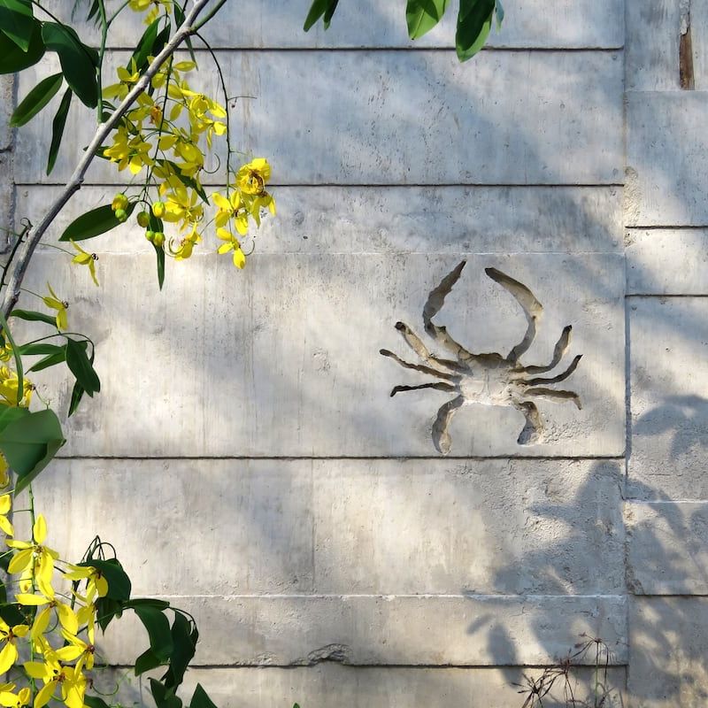 Apartment in Mazunte