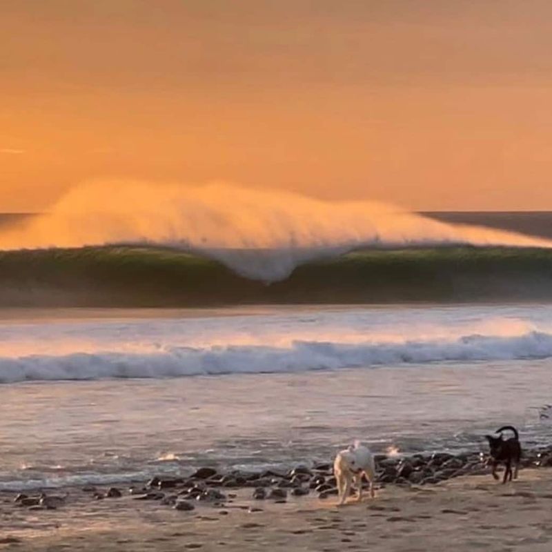 Villa in Todos Santos