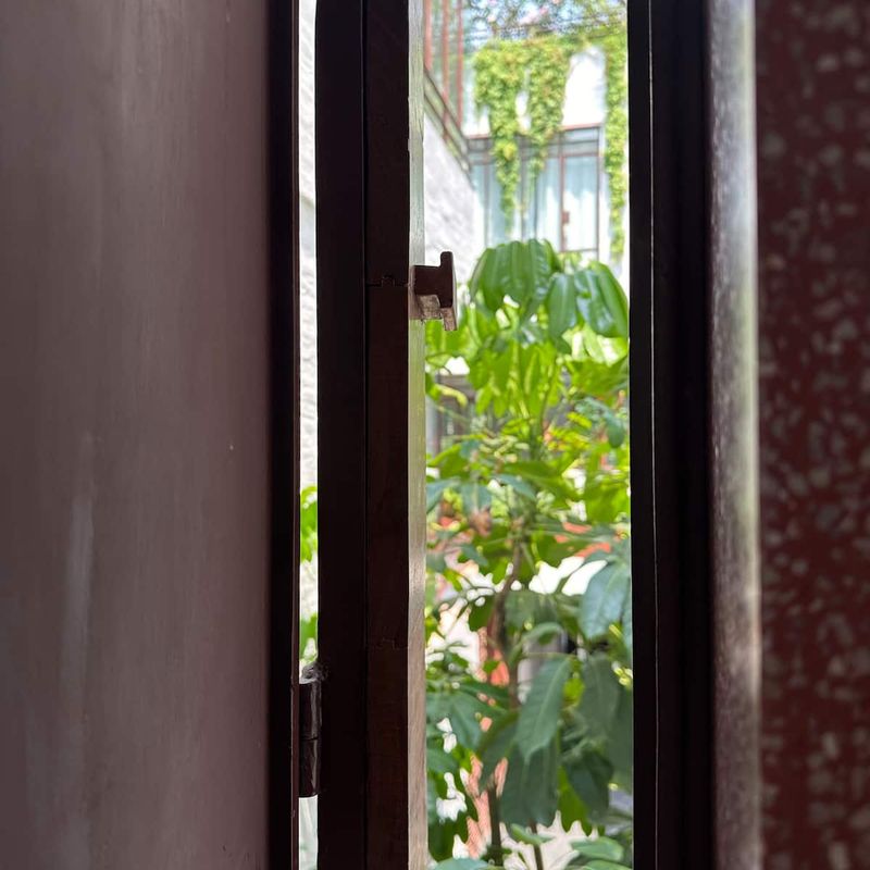 Designer Home in Condesa