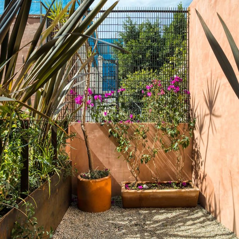 Historic Home in Roma Norte