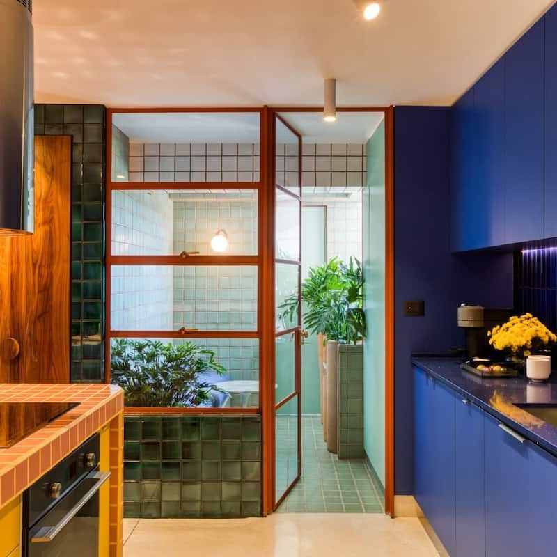 Two Apartments in Condesa