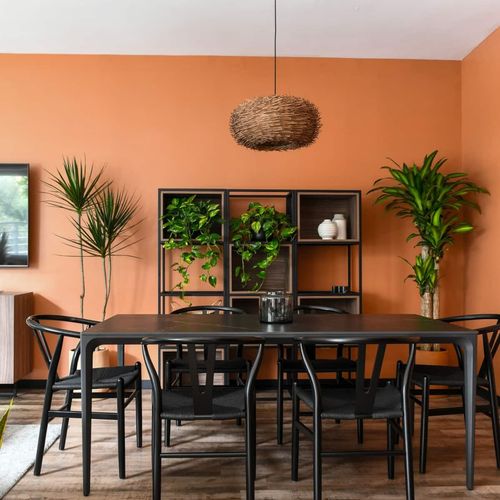 Apartment in Roma Sur