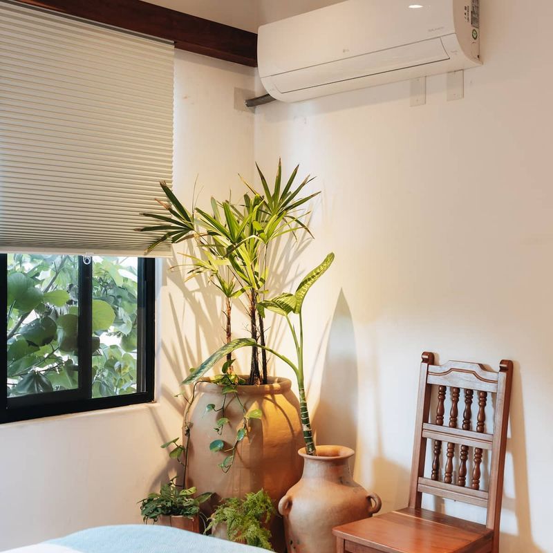 Designer Home in Oaxaca