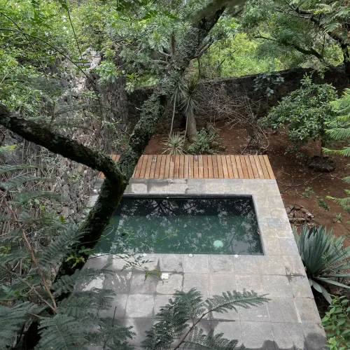 Home in Amatlan
