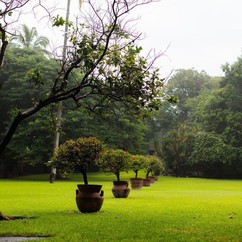 17th Century Hacienda in Morelos