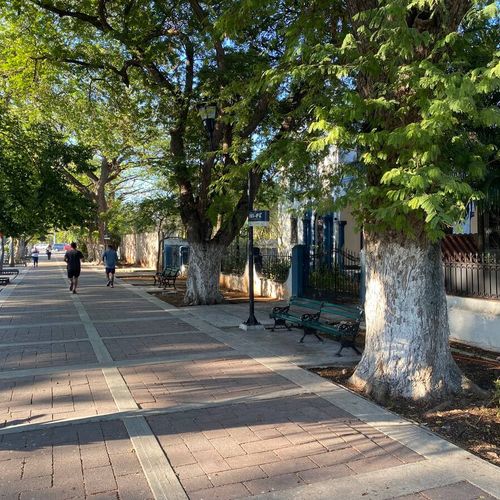 Historic home in Paseo Monetjo