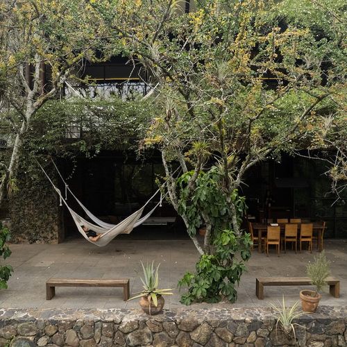 Home in Amatlan