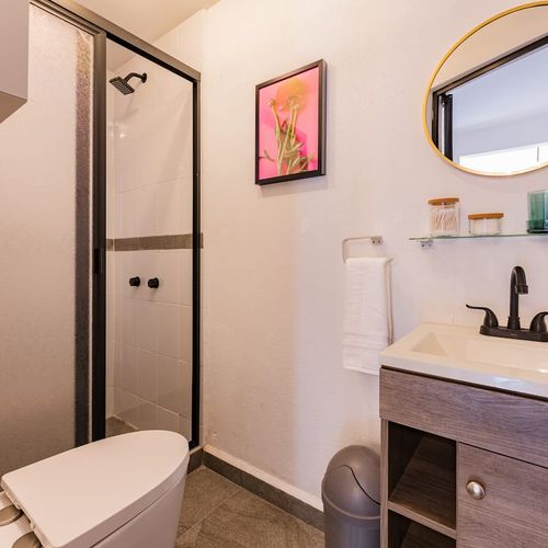 Large Home in Roma Sur