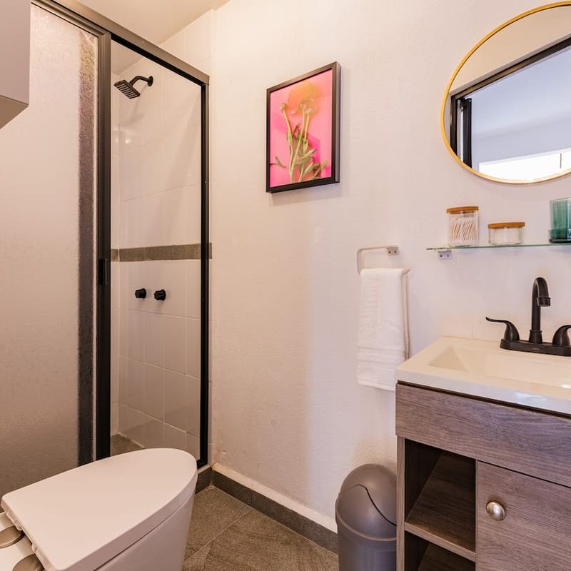 Large Home in Roma Sur