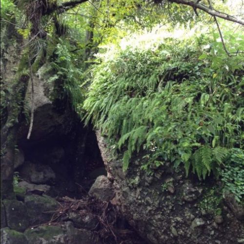 Home in Amatlan