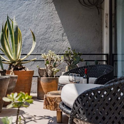 Large Home in Condesa