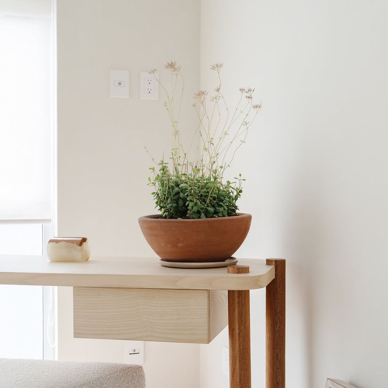 Modern Apartment in Condesa