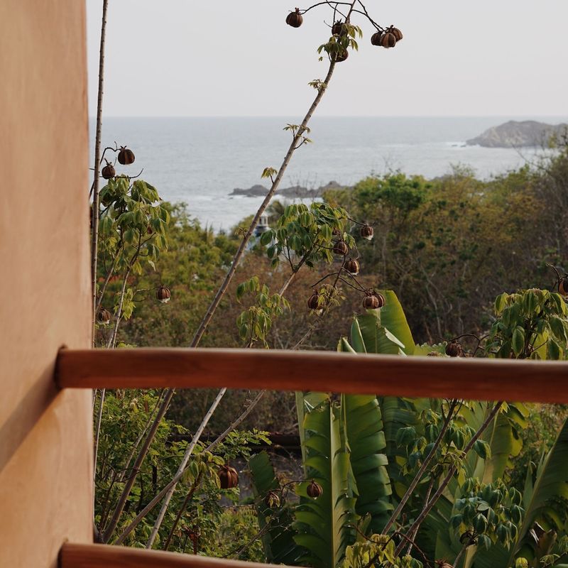 Estate in San Agustinillo