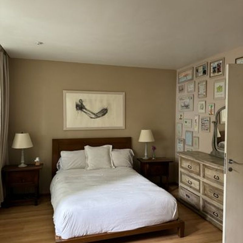 Two Homes in Condesa