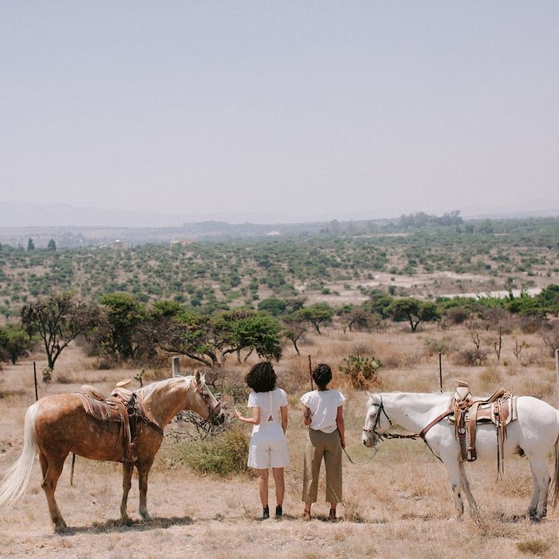 Villa in San Miguel de Allende