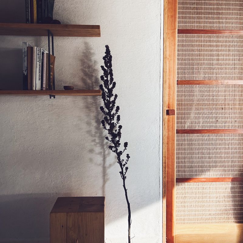 Mountain Cabin in Tepoztlan