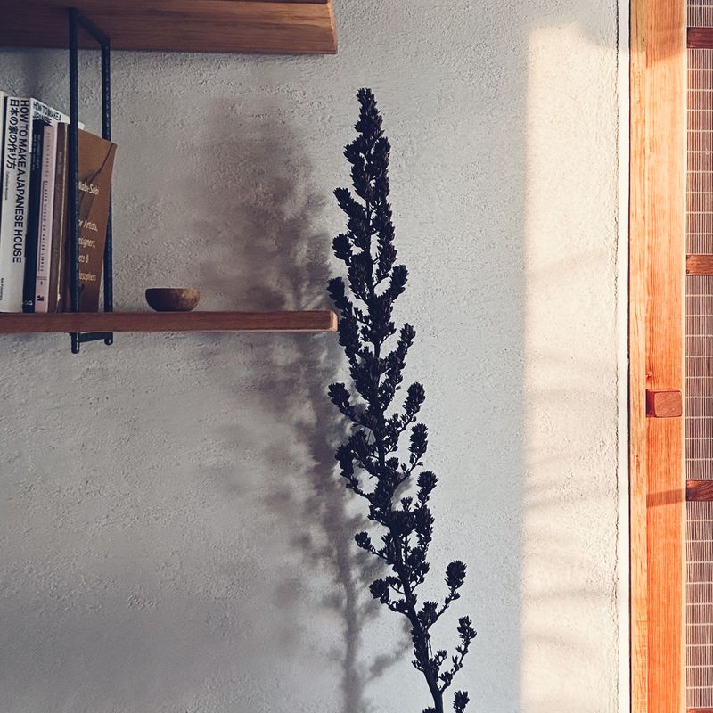 Mountain Cabin in Tepoztlan