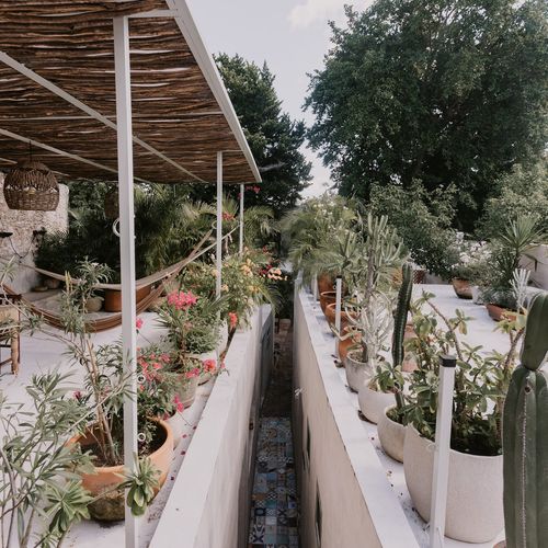 Bed & Breakfast in Merida