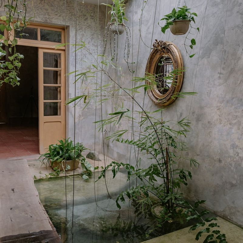 Designer Home in Merida