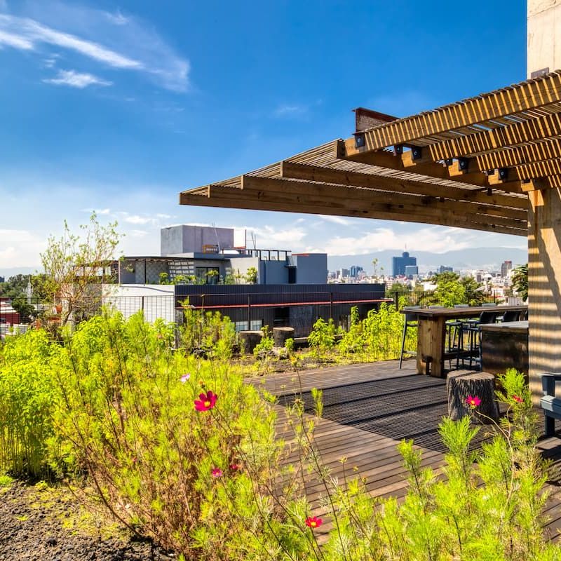 Apartment in Roma Norte